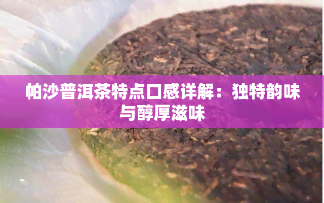 帕沙普洱茶特点口感详解：独特韵味与醇厚滋味