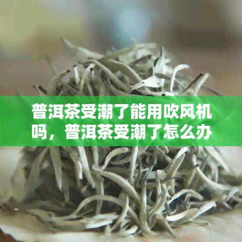 普洱茶受潮了能用吹风机吗，普洱茶受潮了怎么办？可以使用吹风机吗？