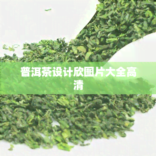 普洱茶设计欣图片大全高清