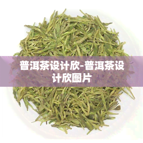 普洱茶设计欣-普洱茶设计欣图片