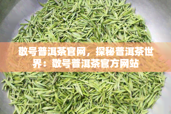 敬号普洱茶官网，探秘普洱茶世界：敬号普洱茶官方网站