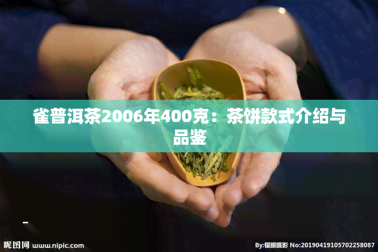 雀普洱茶2006年400克：茶饼款式介绍与品鉴