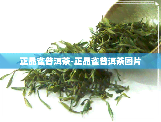 正品雀普洱茶-正品雀普洱茶图片