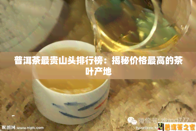 普洱茶最贵山头排行榜：揭秘价格更高的茶叶产地