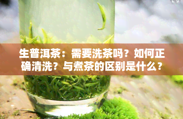 生普洱茶：需要洗茶吗？如何正确清洗？与煮茶的区别是什么？