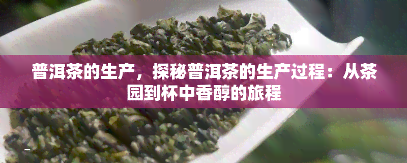 普洱茶的生产，探秘普洱茶的生产过程：从茶园到杯中香醇的旅程