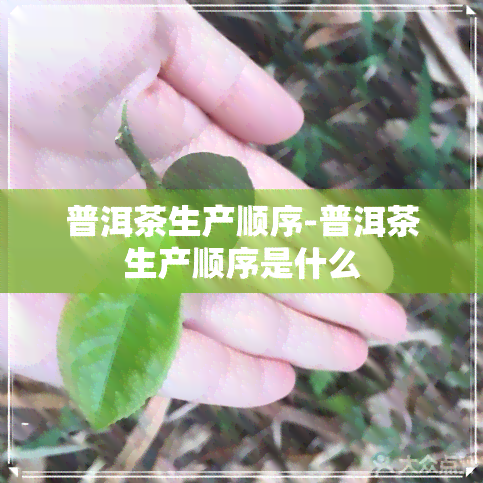 普洱茶生产顺序-普洱茶生产顺序是什么