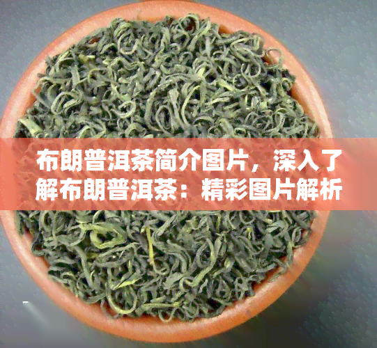 布朗普洱茶简介图片，深入了解布朗普洱茶：精彩图片解析与介绍