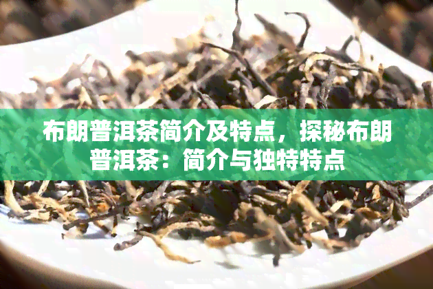 布朗普洱茶简介及特点，探秘布朗普洱茶：简介与独特特点