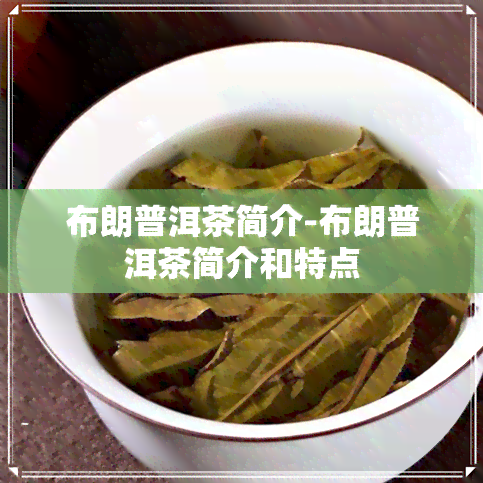 布朗普洱茶简介-布朗普洱茶简介和特点