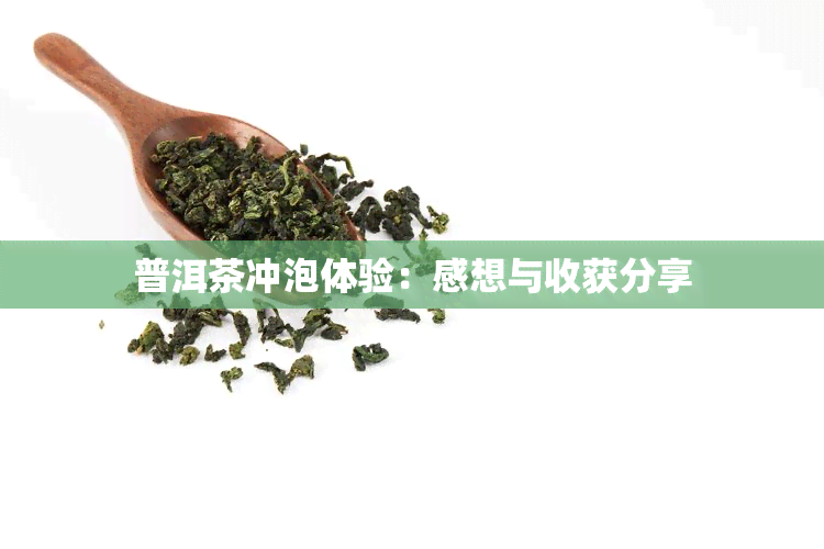 普洱茶冲泡体验：感想与收获分享