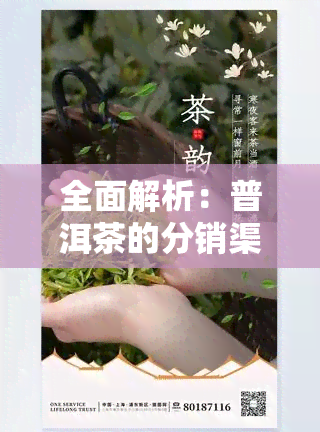 全面解析：普洱茶的分销渠道及选择策略