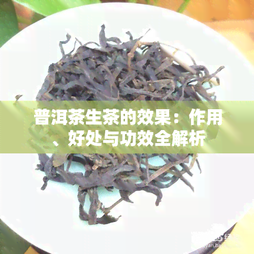 普洱茶生茶的效果：作用、好处与功效全解析