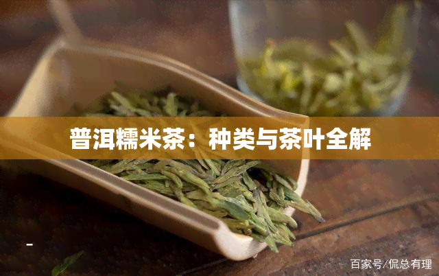 普洱糯米茶：种类与茶叶全解