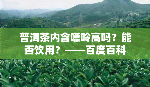 普洱茶内含嘌呤高吗？能否饮用？——百度百科