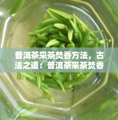 普洱茶采茶焚香方法，古法之道：普洱茶采茶焚香全过程解析