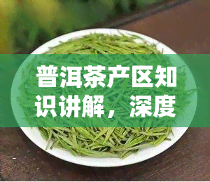 普洱茶产区知识讲解，深度解析：普洱茶的产区知识与特点