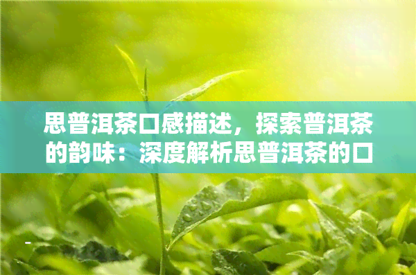 思普洱茶口感描述，探索普洱茶的韵味：深度解析思普洱茶的口感特点