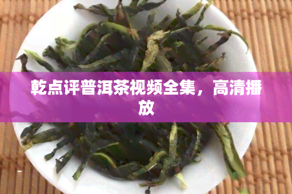 乾点评普洱茶视频全集，高清播放