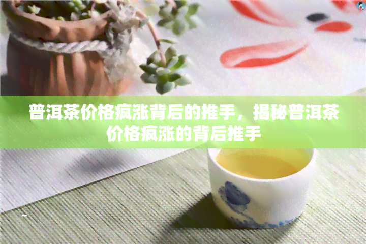 普洱茶价格疯涨背后的推手，揭秘普洱茶价格疯涨的背后推手