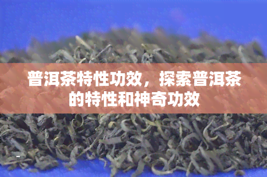 普洱茶特性功效，探索普洱茶的特性和神奇功效