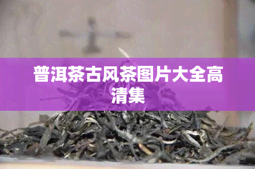 普洱茶古风茶图片大全高清集