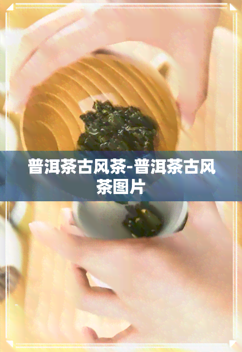 普洱茶古风茶-普洱茶古风茶图片