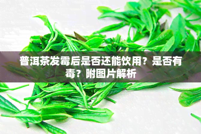 普洱茶发霉后是否还能饮用？是否有？附图片解析