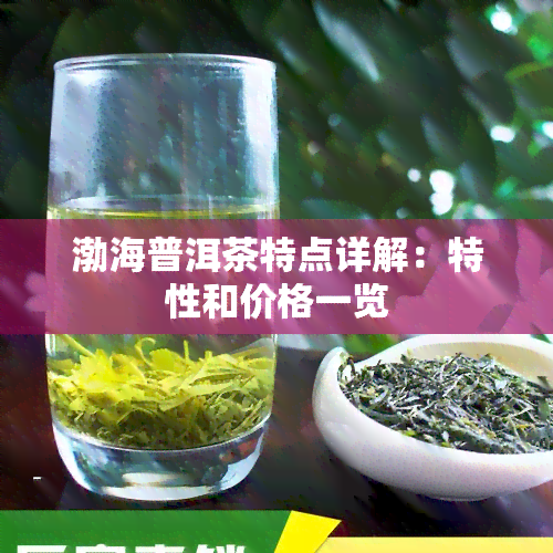 渤海普洱茶特点详解：特性和价格一览