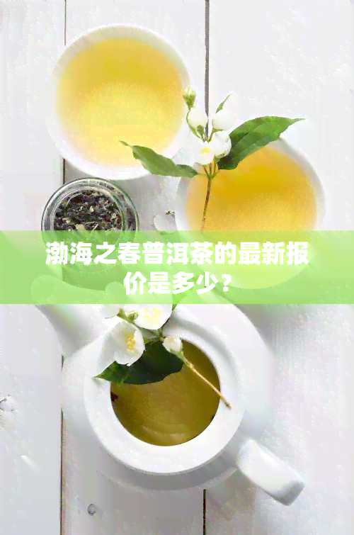 渤海之春普洱茶的最新报价是多少？