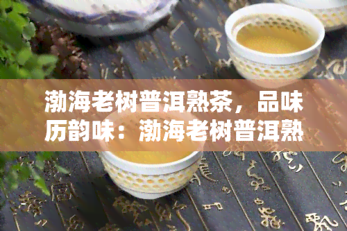 渤海老树普洱熟茶，品味历韵味：渤海老树普洱熟茶的魅力探索