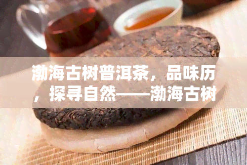 渤海古树普洱茶，品味历，探寻自然——渤海古树普洱茶的魅力与故事