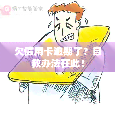 欠信用卡逾期了？自救办法在此！