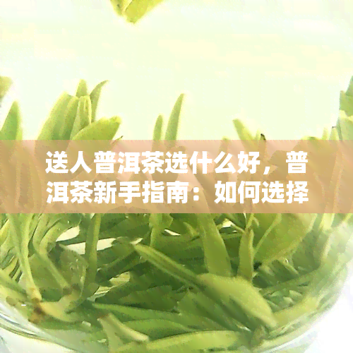 送人普洱茶选什么好，普洱茶新手指南：如何选择适合送人的优质普洱茶？