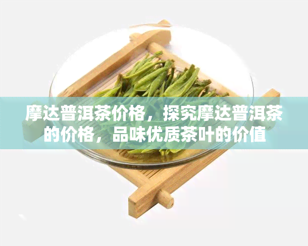 摩达普洱茶价格，探究摩达普洱茶的价格，品味优质茶叶的价值