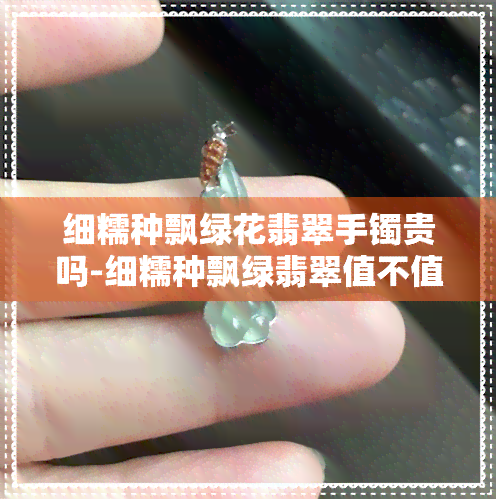 细糯种飘绿花翡翠手镯贵吗-细糯种飘绿翡翠值不值钱