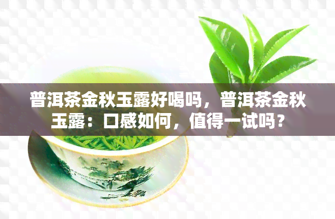 普洱茶金秋玉露好喝吗，普洱茶金秋玉露：口感如何，值得一试吗？