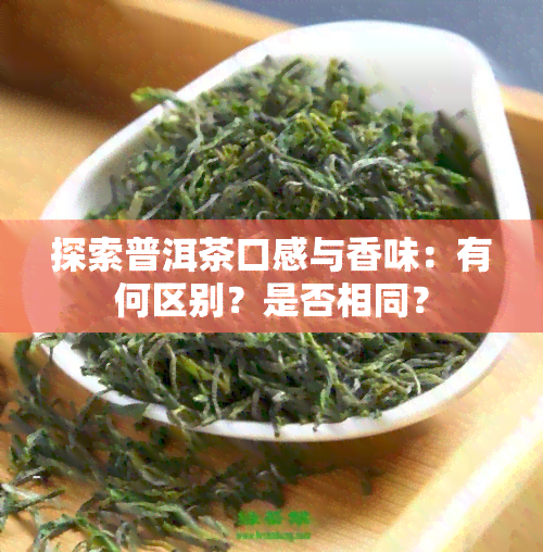 探索普洱茶口感与香味：有何区别？是否相同？