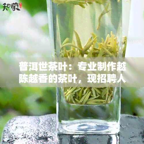 普洱世茶叶：专业制作越陈越香的茶叶，现招聘人才