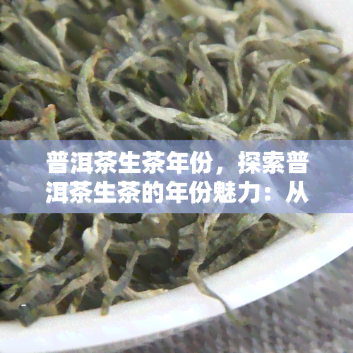 普洱茶生茶年份，探索普洱茶生茶的年份魅力：从新茶到老茶的变化与品尝指南