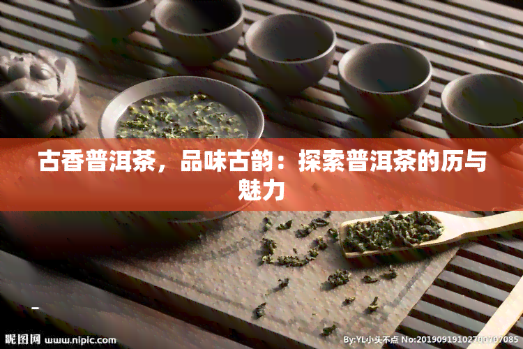 古香普洱茶，品味古韵：探索普洱茶的历与魅力