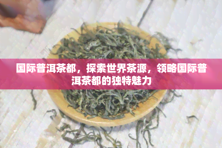 国际普洱茶都，探索世界茶源，领略国际普洱茶都的独特魅力