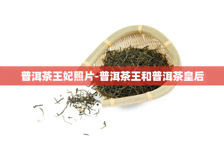 普洱茶王妃照片-普洱茶王和普洱茶皇后