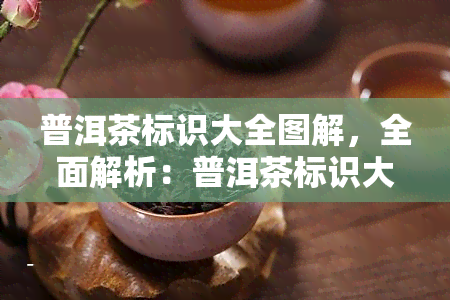 普洱茶标识大全图解，全面解析：普洱茶标识大全图解