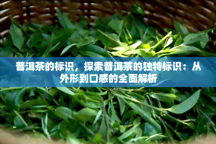 普洱茶的标识，探索普洱茶的独特标识：从外形到口感的全面解析