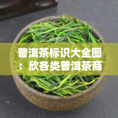 普洱茶标识大全图：欣各类普洱茶商标样式