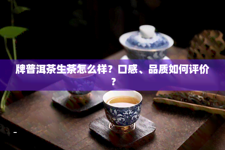 牌普洱茶生茶怎么样？口感、品质如何评价？