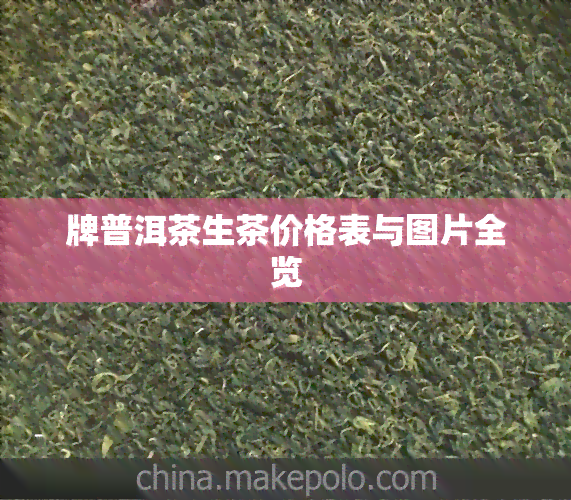 牌普洱茶生茶价格表与图片全览