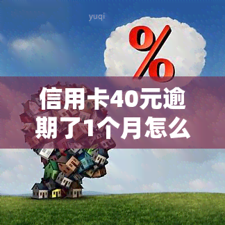 信用卡40元逾期了1个月怎么办，信用卡逾期40元1个月，应该怎么办？