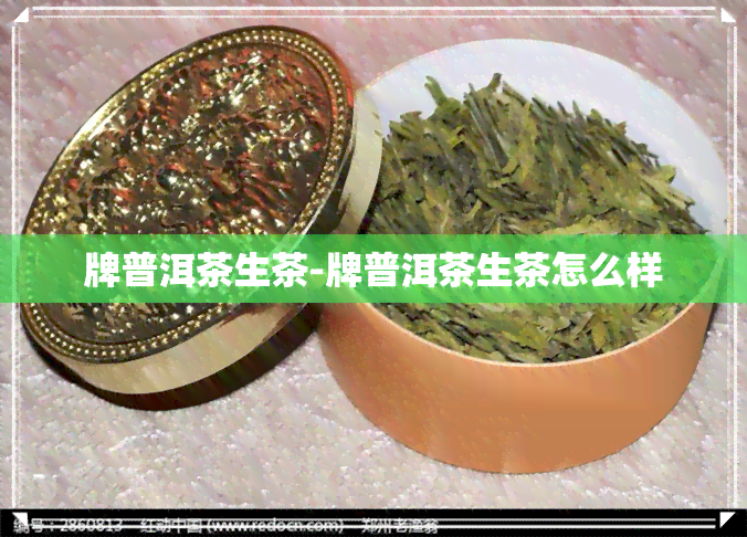 牌普洱茶生茶-牌普洱茶生茶怎么样